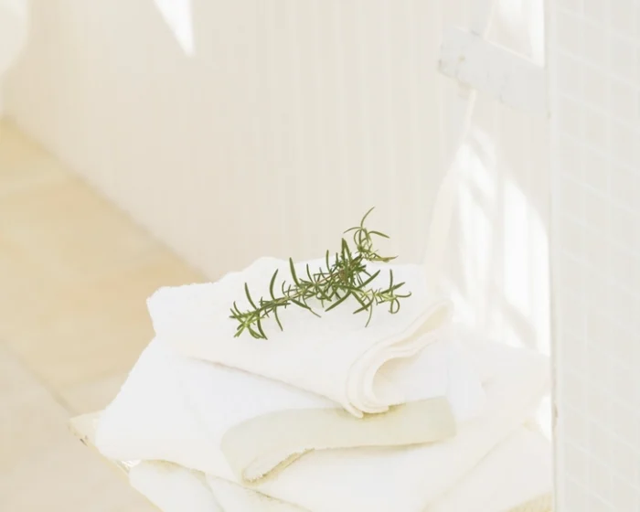 Bordered Bath Towel, Set of 4